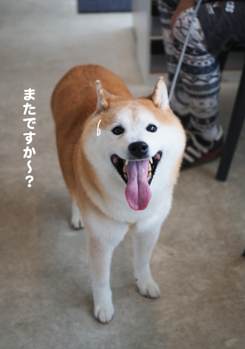 7日夕ブログ６