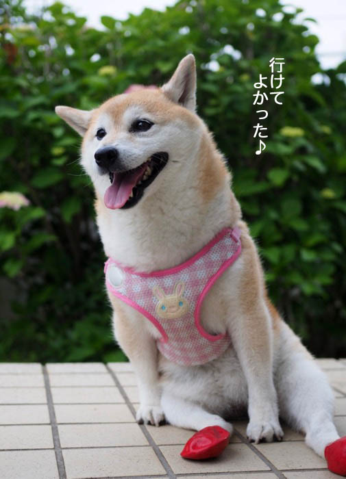 19日ブログ４