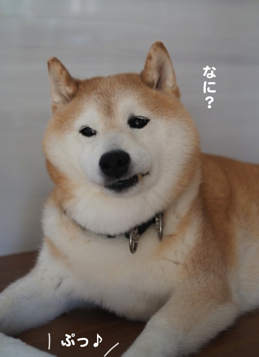 17日ブログ２
