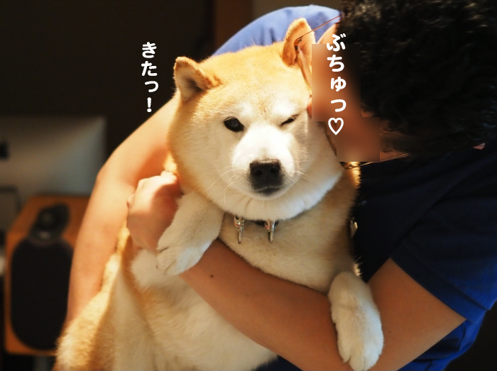 14日ブログ4
