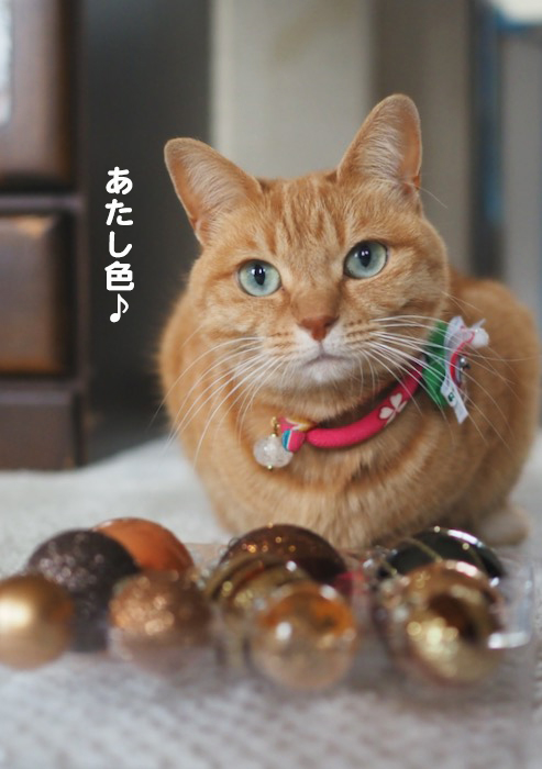 25日夕ブログ２