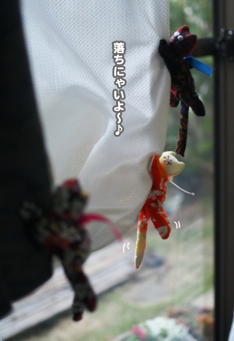 12日夕ブログ18