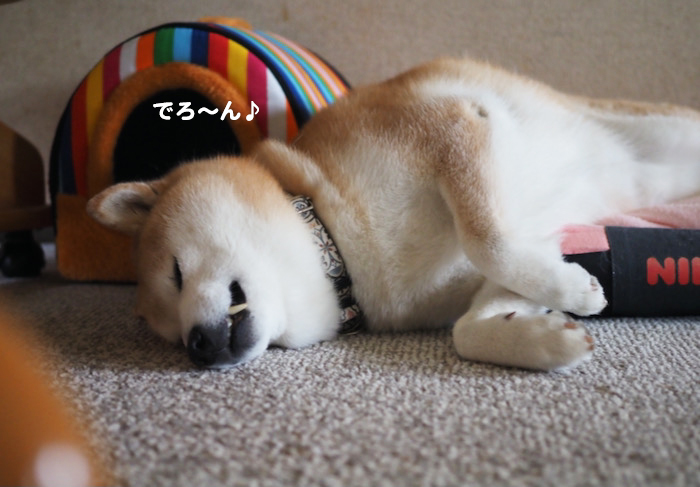 18日夕ブログ２