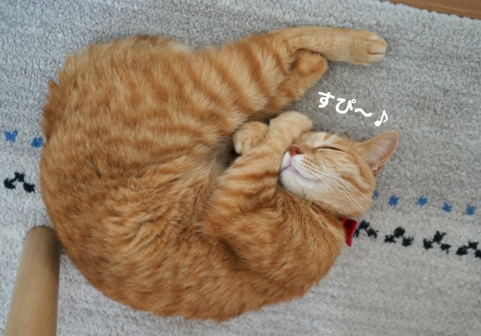1日夕ブログ２