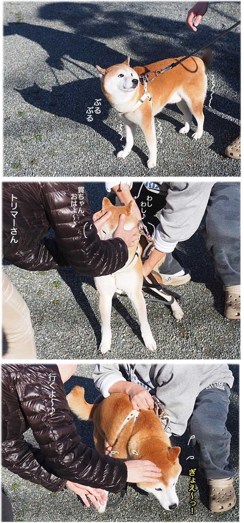 30日ブログ７