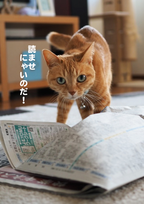 15日ブログ３