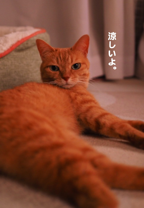 2日ブログ２