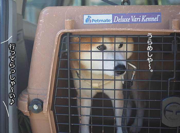 11日ブログ１０