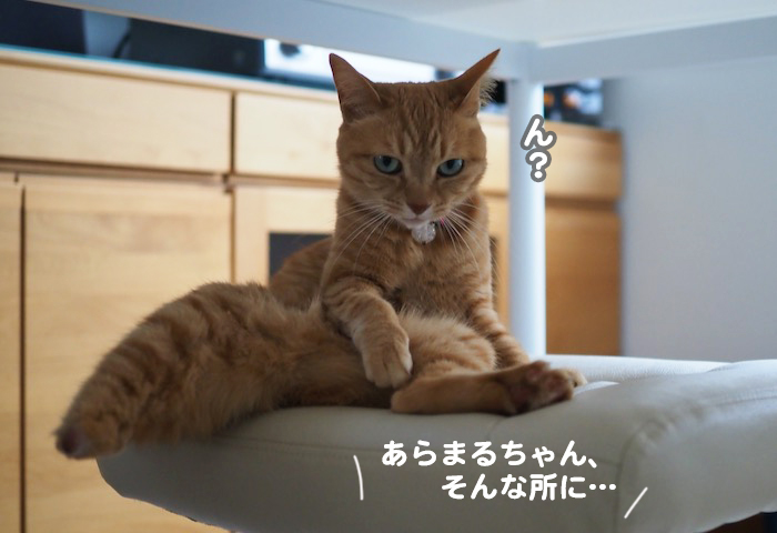 9日夕ブログ２