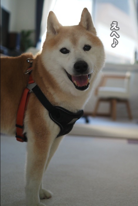 16日夕ブログ５