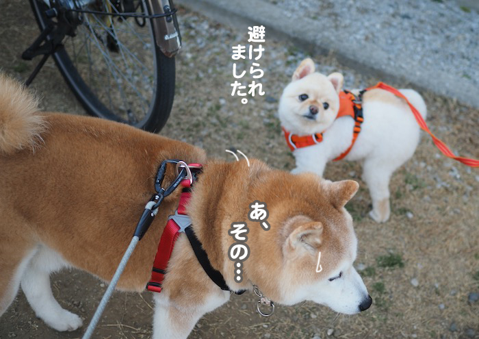 4日ブログ６