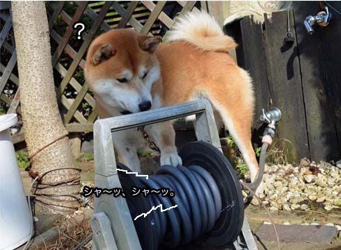 23日ブログ6.jpg