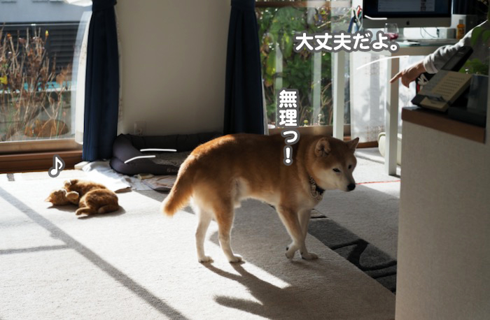 10日夕ブログ６