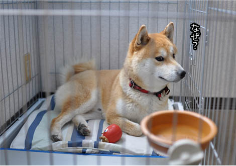 25日ブログ6.jpg