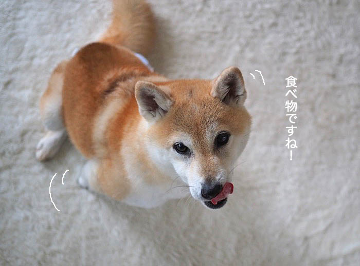 16日ブログ７