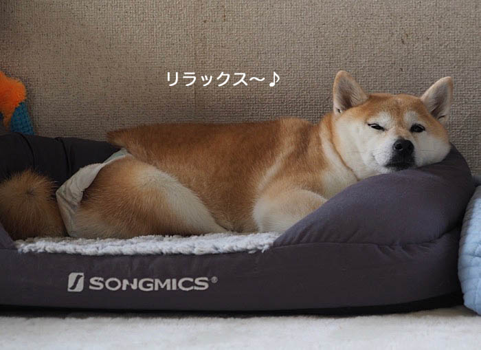 17日夜ブログ２