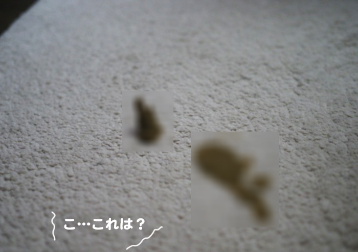 23日夕ブログ７