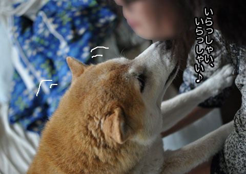 28日ブログ2.jpg