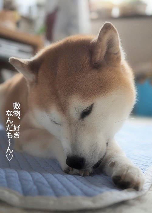15日ブログ５