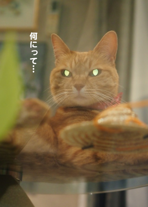 6日夕ブログ６