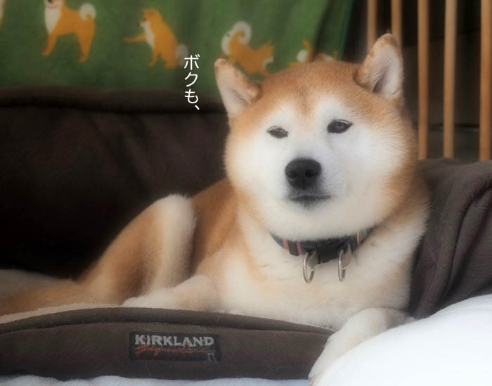 7日ブログ６