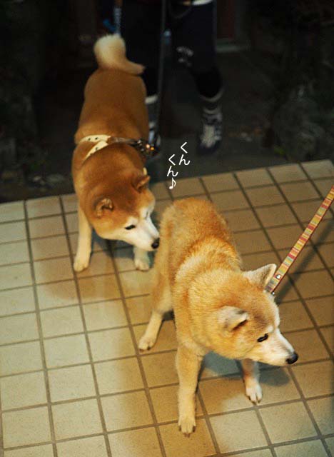 28日ブログ6