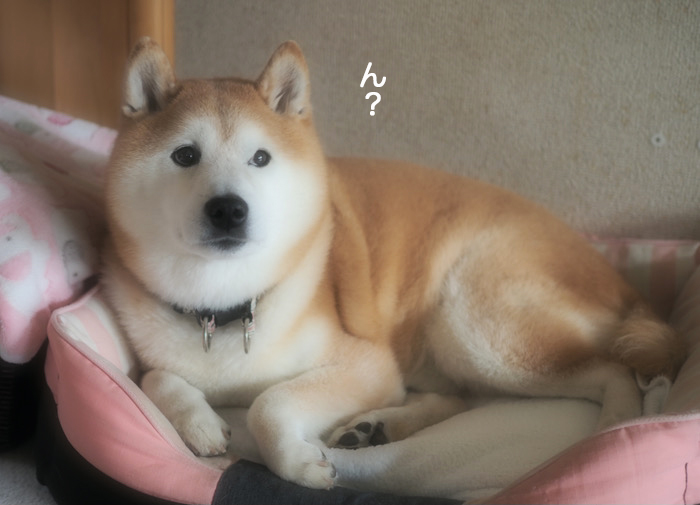 17日ブログ２