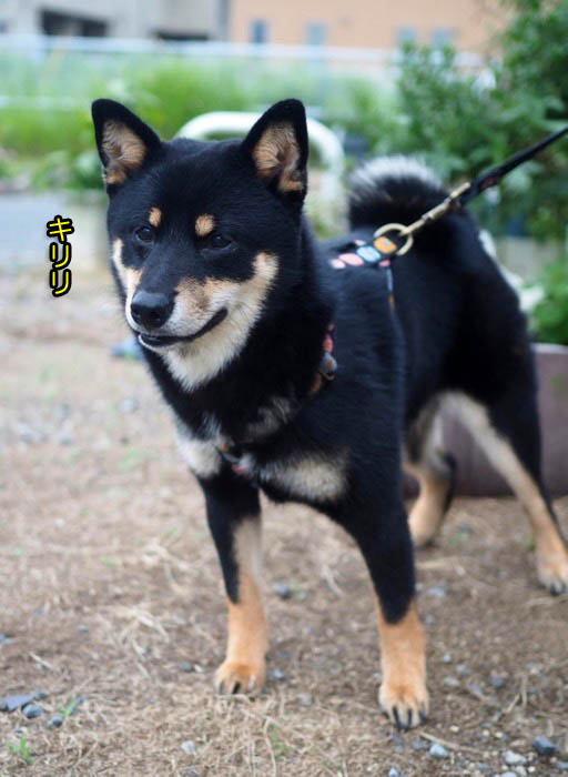 22日夕ブログ２