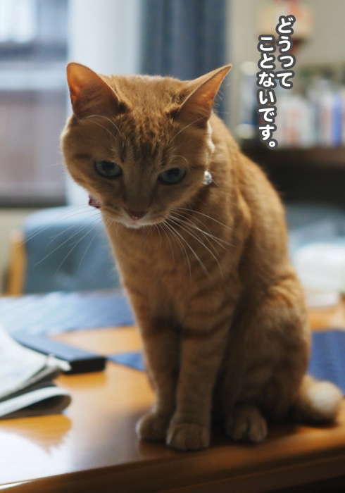 2日夕ブログ５