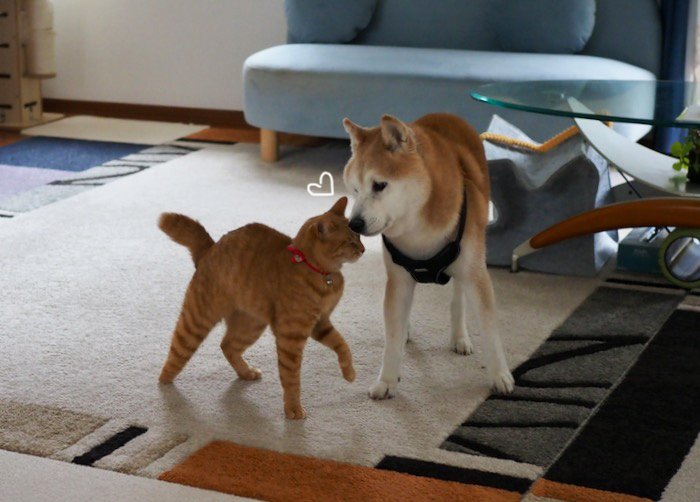 31日夕ブログ２