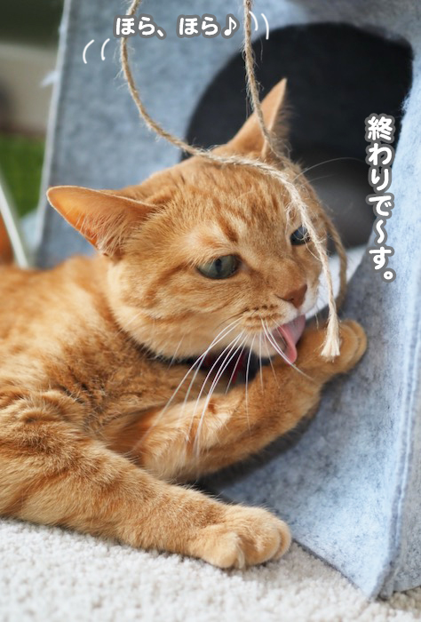 24日夕ブログ１０