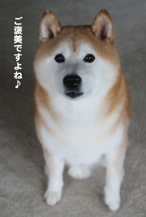 15日夕ブログ３