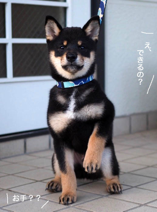 19日ブログ６