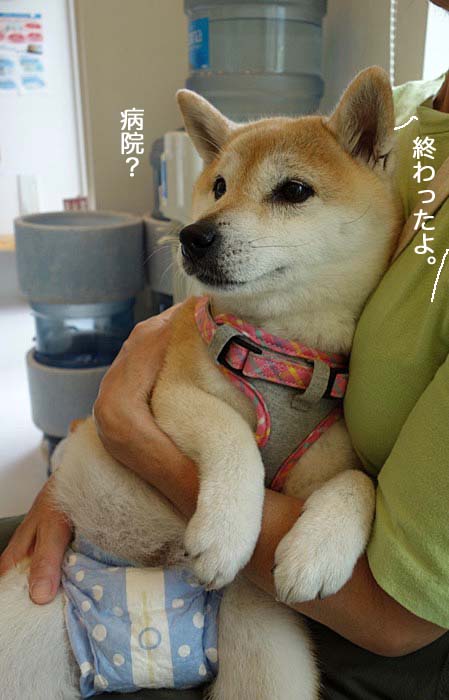 27日夜ブログ４
