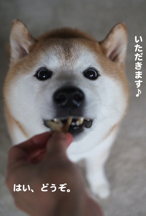 15日夕ブログ７