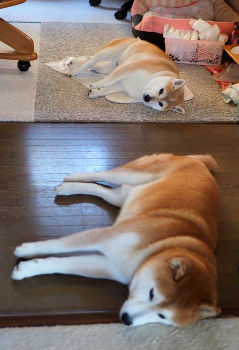 24日ブログ３