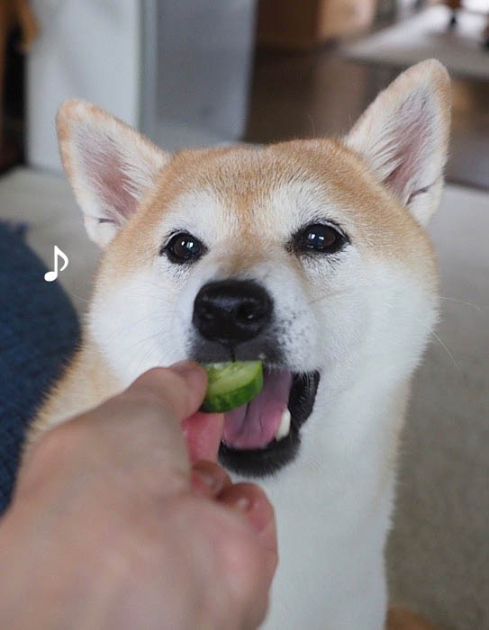 13日ブログ７