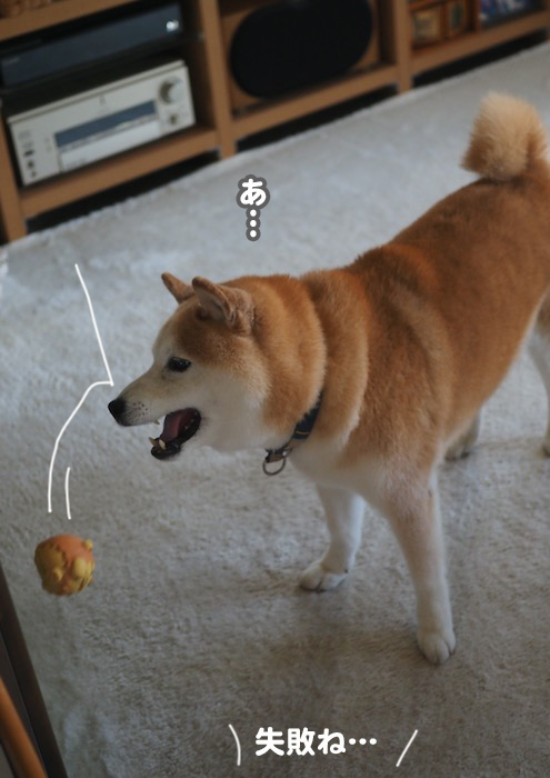 7日夕ブログ９