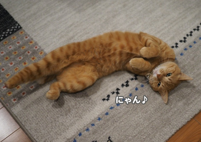 27日夕ブログ２