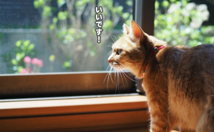 10日ブログ３