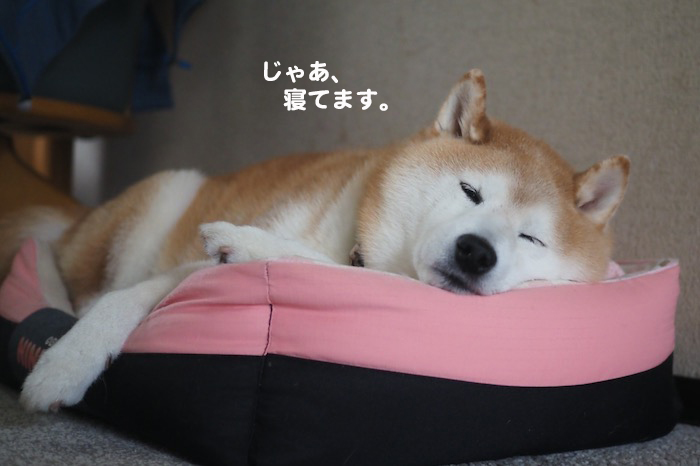 15日ブログ４