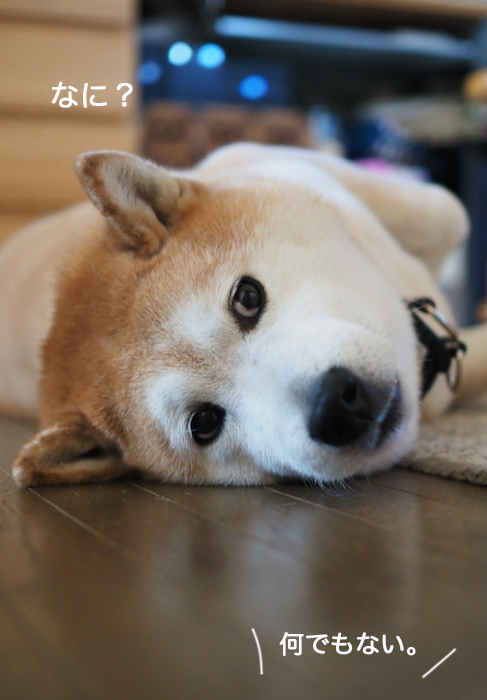 30日ブログ２