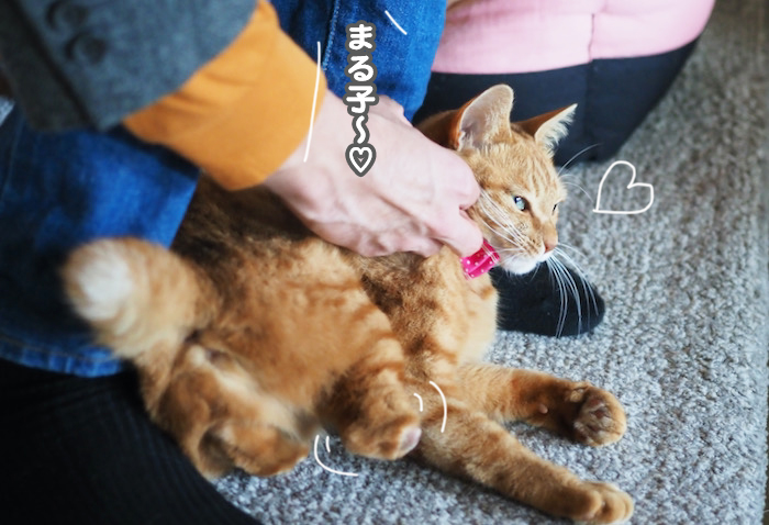 27日夕ブログ３