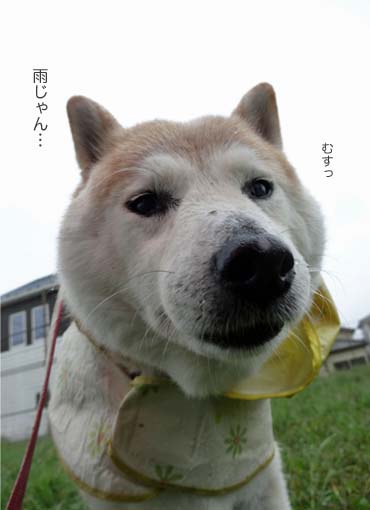 25日ブログ2.jpg