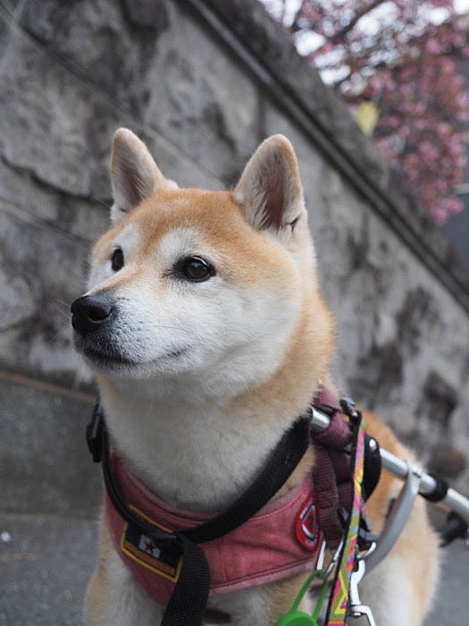15日ブログ2