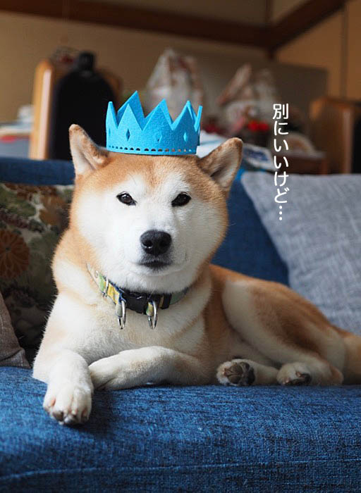 7日ブログ１２