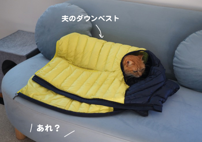 20日ブログ２