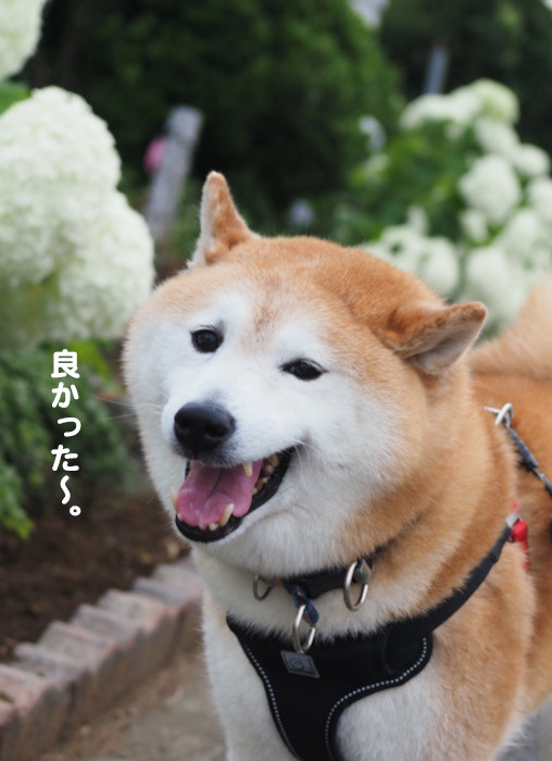 17日夜ブログ１０