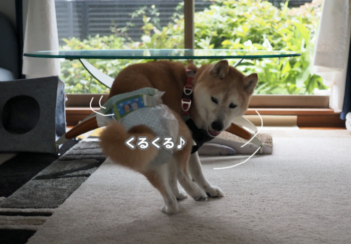 7日ブログ１