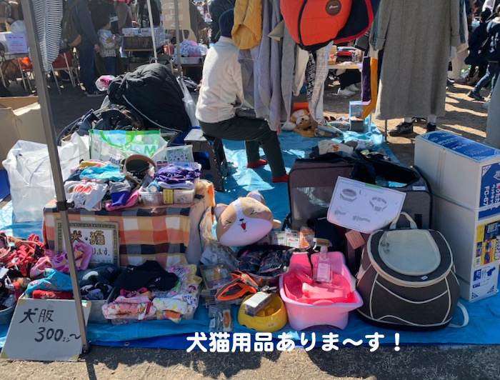 1日ブログ４